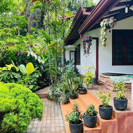Chami'S Home Stay Mirissa Eksteriør bilde